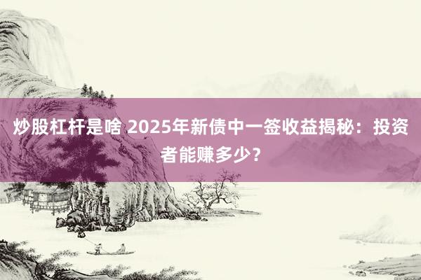 炒股杠杆是啥 2025年新债中一签收益揭秘：投资者能赚多少？