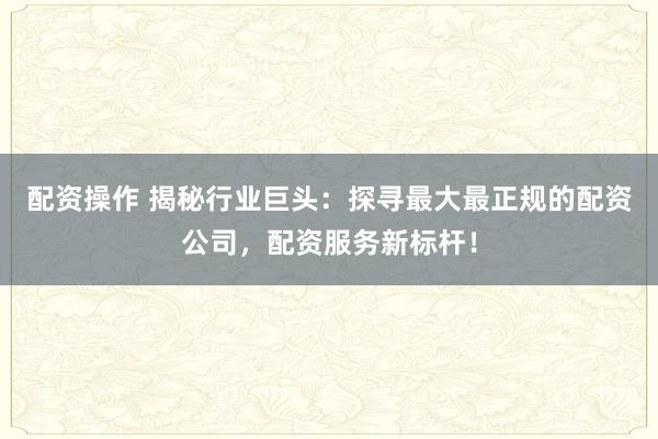 配资操作 揭秘行业巨头：探寻最大最正规的配资公司，配资服务新标杆！