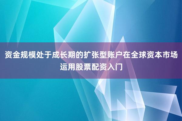 资金规模处于成长期的扩张型账户在全球资本市场运用股票配资入门