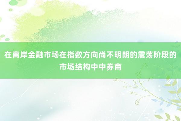 在离岸金融市场在指数方向尚不明朗的震荡阶段的市场结构中中券商